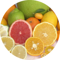 Citrus Varieties