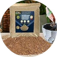 Seeds, Soil & Fertiliser