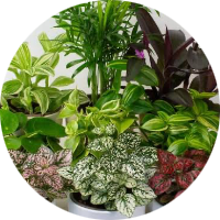 Indoor Items