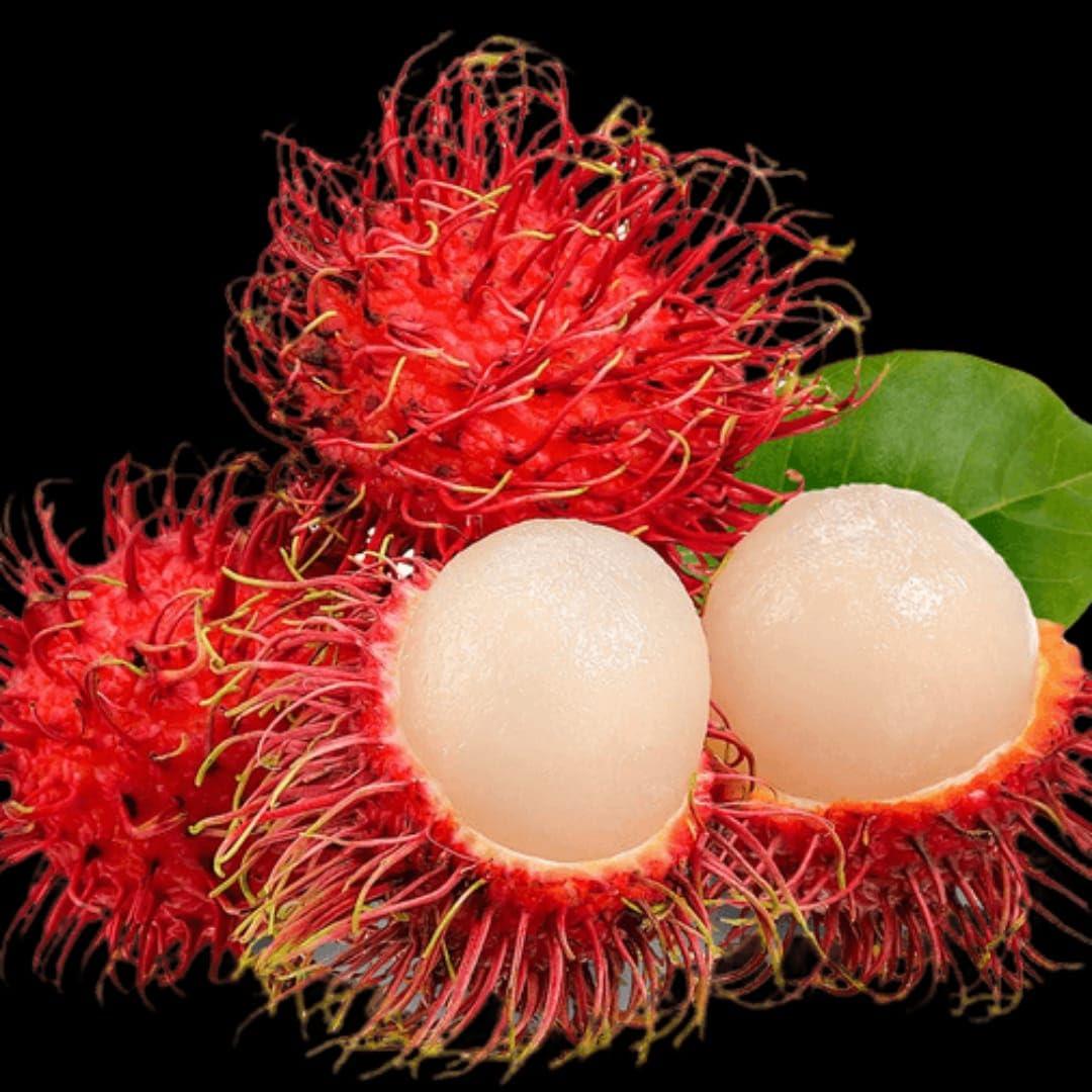 Rambutan Fruit Plant