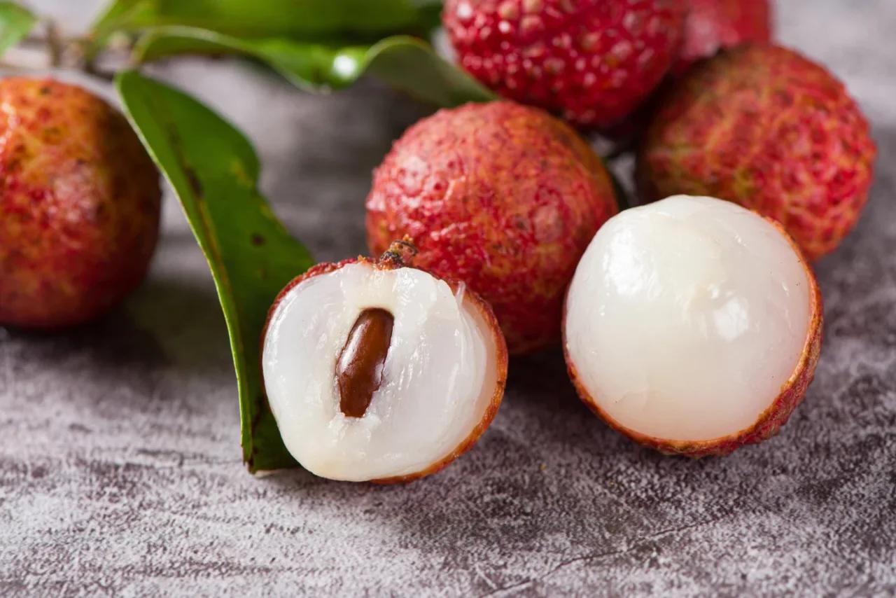 Chaina 3 Lichi Plants 