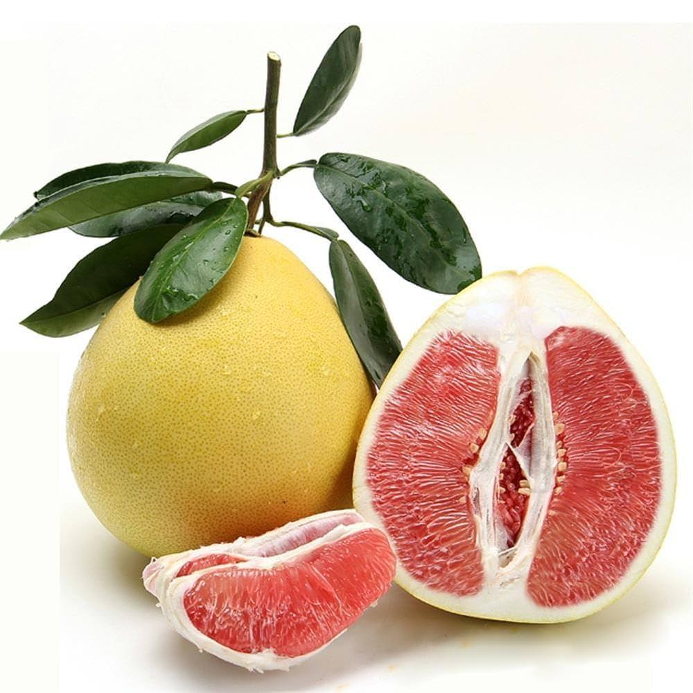 Assembly Pomelo Plants  Hover