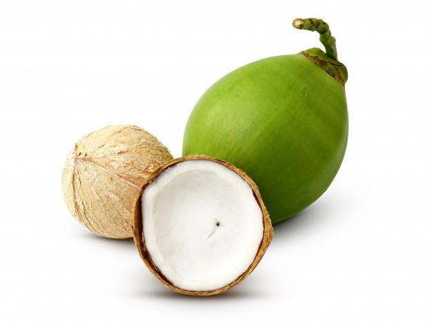 Srilankan Semi Duarf Coconut Plants 